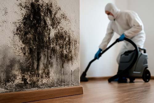 nettoyage logement insalubre